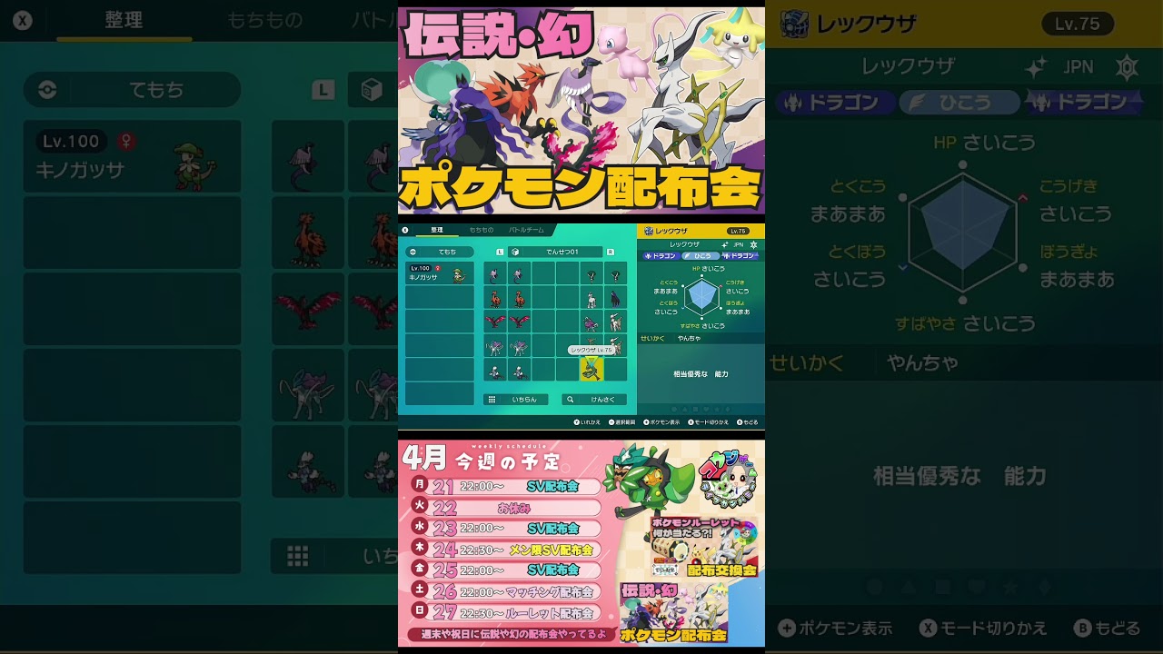 アルセウスや白・黒バドレックス等伝説ポケモン配布会のお知らせ　　　　　　　　　　　　　　　　　　　　　　　　  　　　　　　　#ポケモンsv #ポケモン配布会