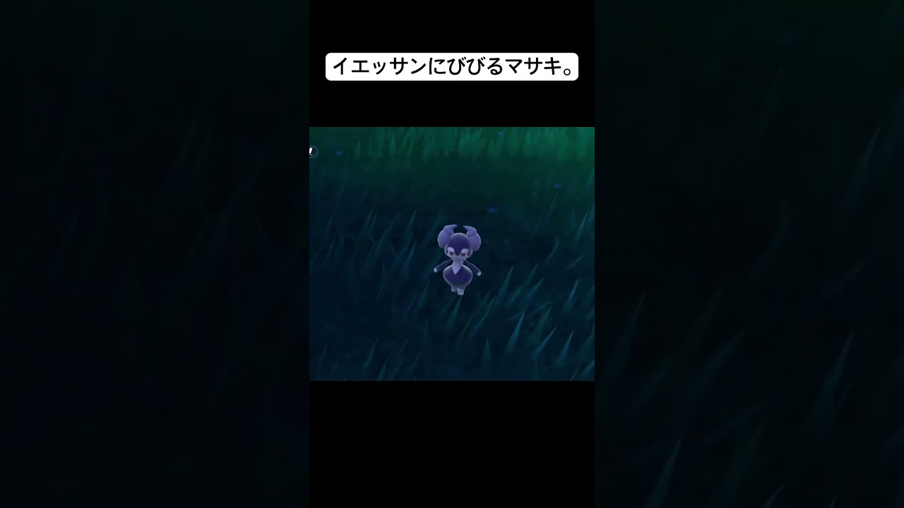イエッサンにびびるマサキ。 #ポケモン #ポケモンsv #ゲーム実況 #ゲーム配信 #ゲーム実況者 #スカーレット #pokemon #ポケモンgo #まえっさん #シブヤマサキ