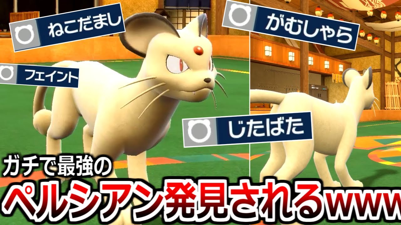 禁伝ポケモンほぼ全員に勝てる天才的ペルシアンがやばすぎるｗｗｗｗｗｗｗ【ポケモンSV実況】