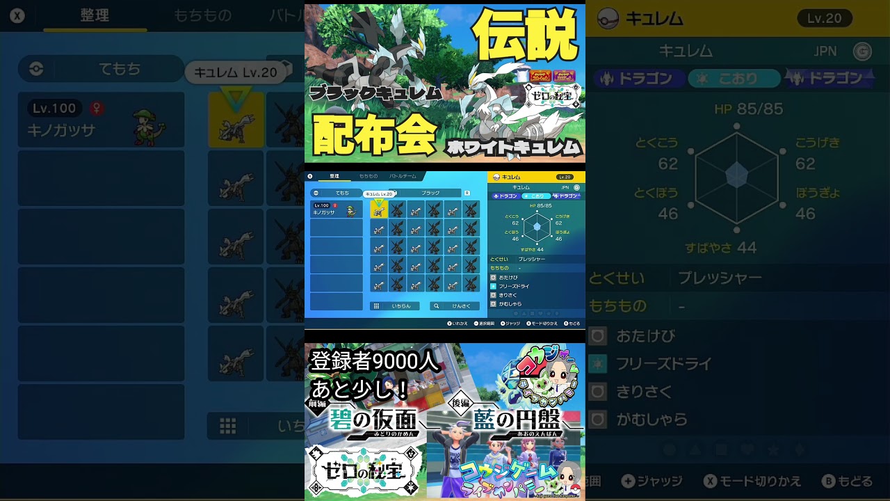 ホワイトキュレム・ブラックキュレム伝説ポケモン配布会のお知らせ　　　　　　　　　　　　　　　　　　　　　　　　  　　　　　　　#ポケモンsv #ポケモン配布会