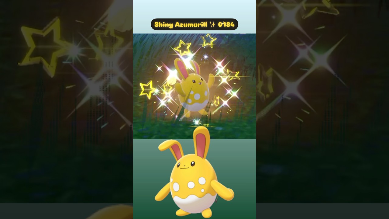 Shiny Azumarill ✨ 0184 caught in Pokemon Scarlet in the wild with Shiny Charm