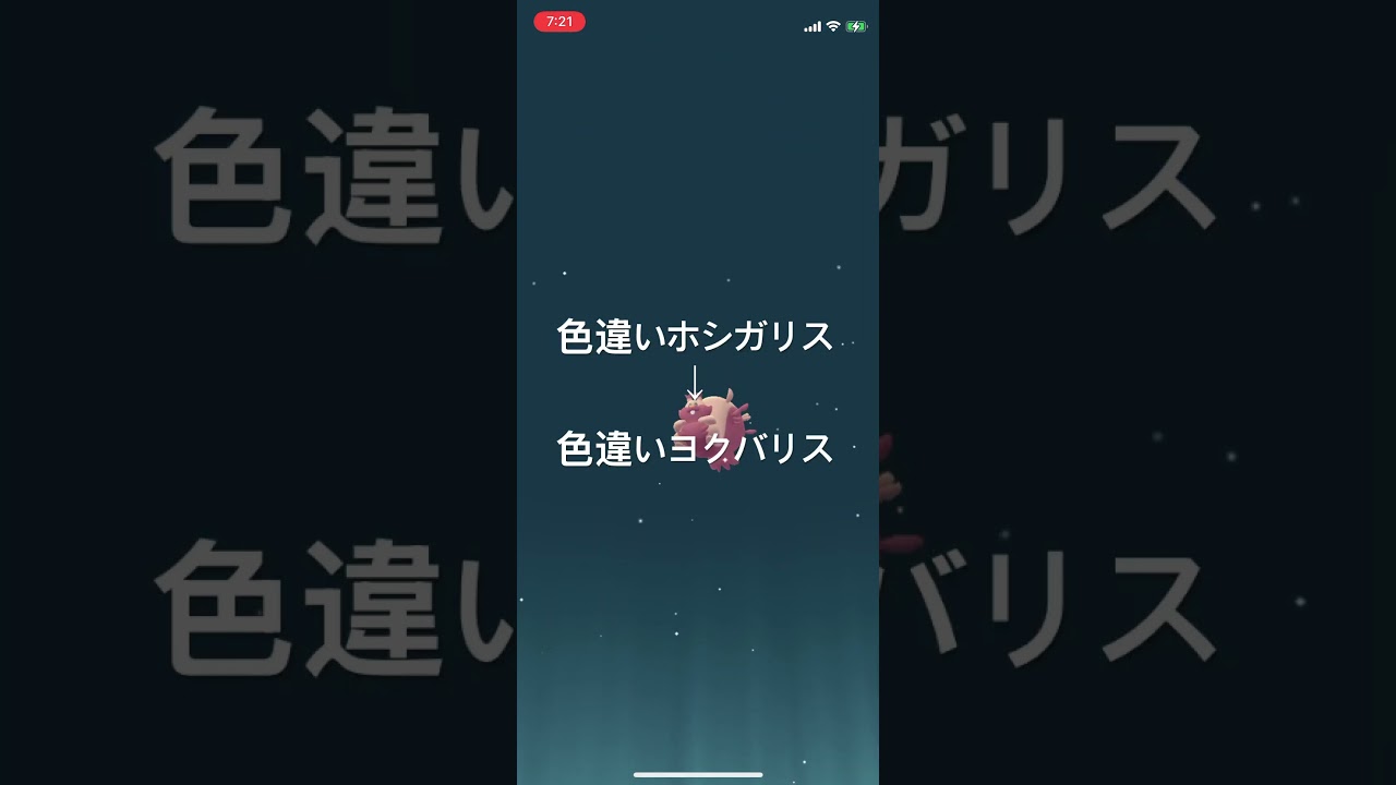 ポケモンGO 色違いホシガリス出現！色違いヨクバリスへ進化！ #pokémon #ポケモンgo #ポケモン #pokemongo #ポケgo