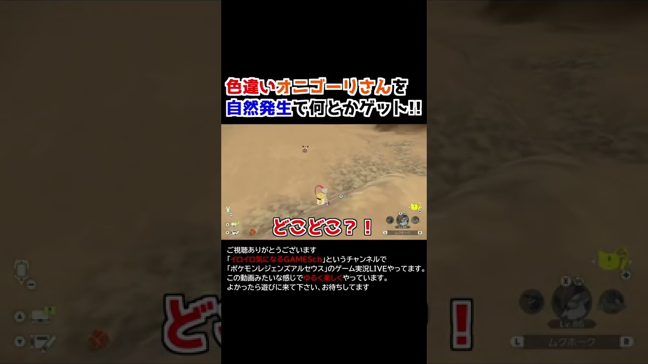 色違いオニゴーリをゲット!!【Pokémon LEGENDS アルセウス】