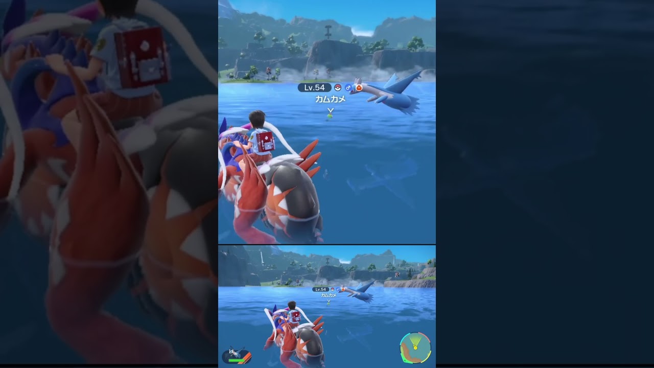 素材集め の邪魔をしないでくれ 色違い カムカメ #shorts #ポケモンsv #碧の仮面 #碧の円盤