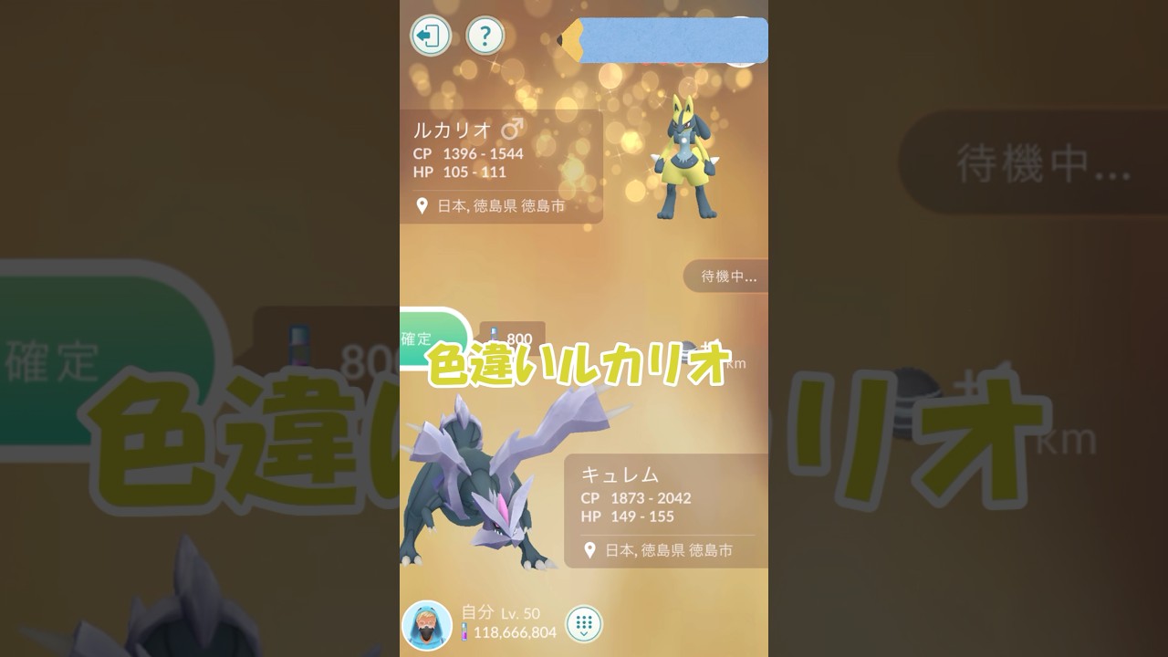 ✨色違いルカリオ👊第27回キラ交換 #ポケモンgo #pokemongo #pokemongoshorts