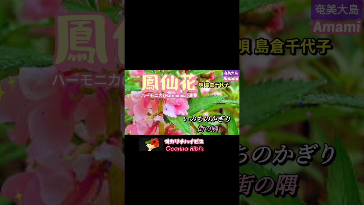 鳳仙花·Japanese Song· 島倉千代子·ハーモニカ演奏·Shorts·No222·1162曲目· #オカリナ #奄美大島