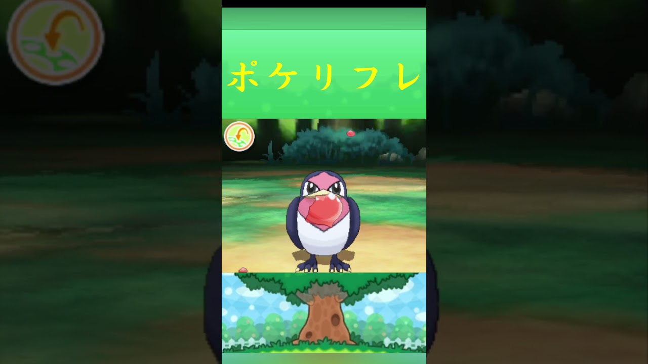ポケモン スバメ ポケリフレ ポケパルレ #ポケモン #Pokemon  #3DS #ポケモン技 #ポケモンsv #ポケモン #ふれあい #キャンプ #カレー #サンドイッチ #ピクニック