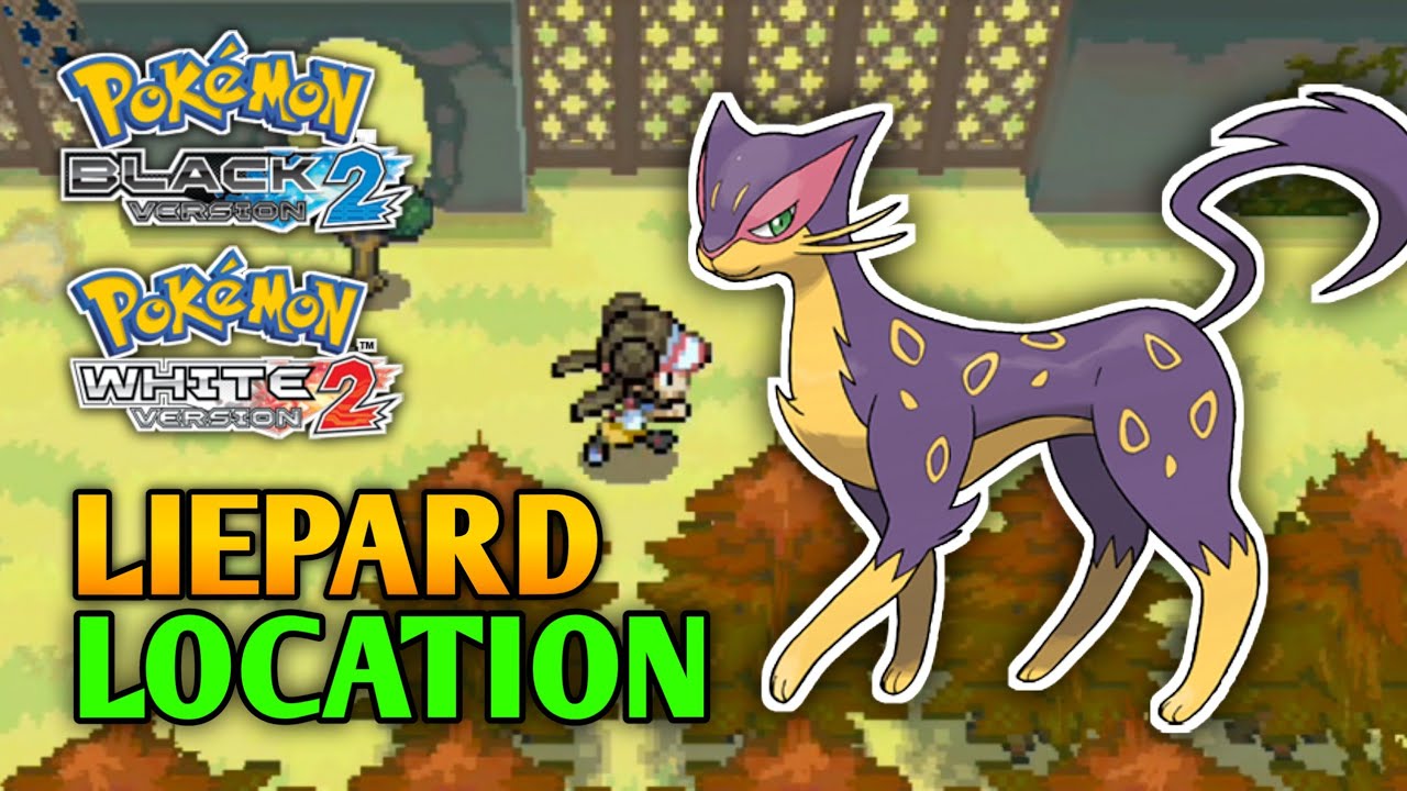 How To Catch Liepard In Pokemon Black 2 & White 2 | Liepard Location