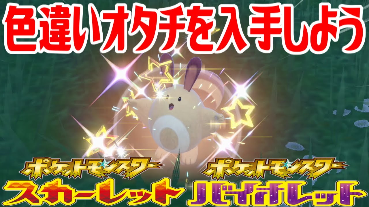 【ポケモンSV】色違いオタチを入手しよう【ポケットモンスター スカーレット・バイオレット ゼロの秘宝 碧の仮面】Pocket Monsters