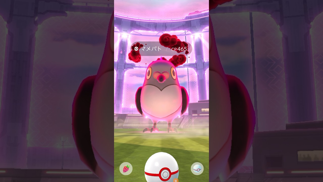 ダイマックスver マメパトGET!!! #pokemon #pokemongo #ポケモン #ポケモンgo