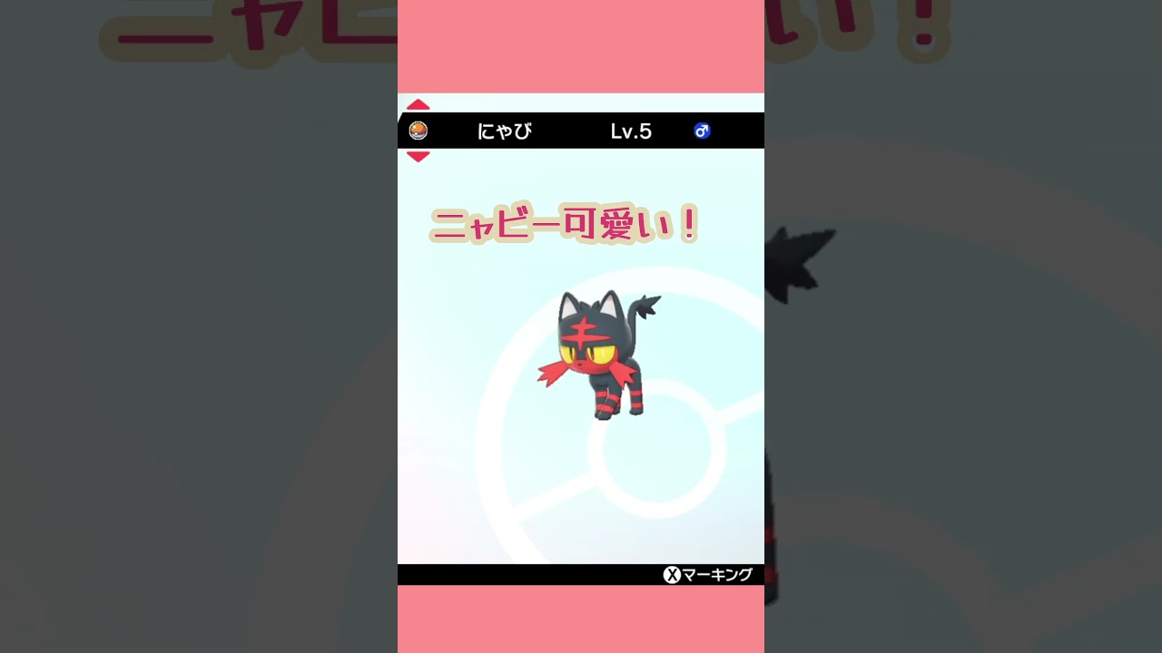 ニャビーをもらいました♥️ポケットモンスター ソード·シールド♥️鎧の孤島♥️