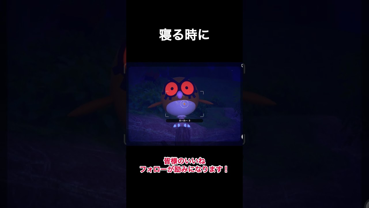 まんまるホーホーの寝方 #ポケスナ #ホーホー