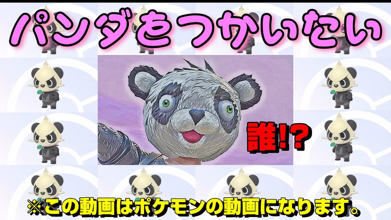 【ポケモン剣盾】パンダが使いたくなったので、ヤンチャムでランクマッチ行った結果…