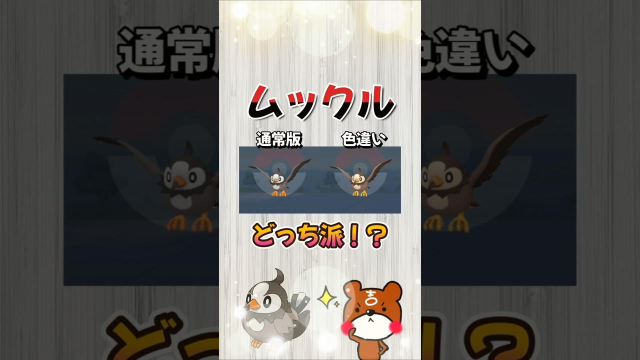 【ポケモンSV】あなたはどっちが好き！？通常のムックル？それとも色違いムックル？ムクバードやムクホークに進化する瞬間！ポケモンスカーレットバイオレット#ポケモンsv #ポケモン #Shorts