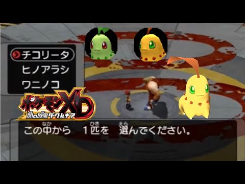 【ポケモンXD】チコリータ色厳選