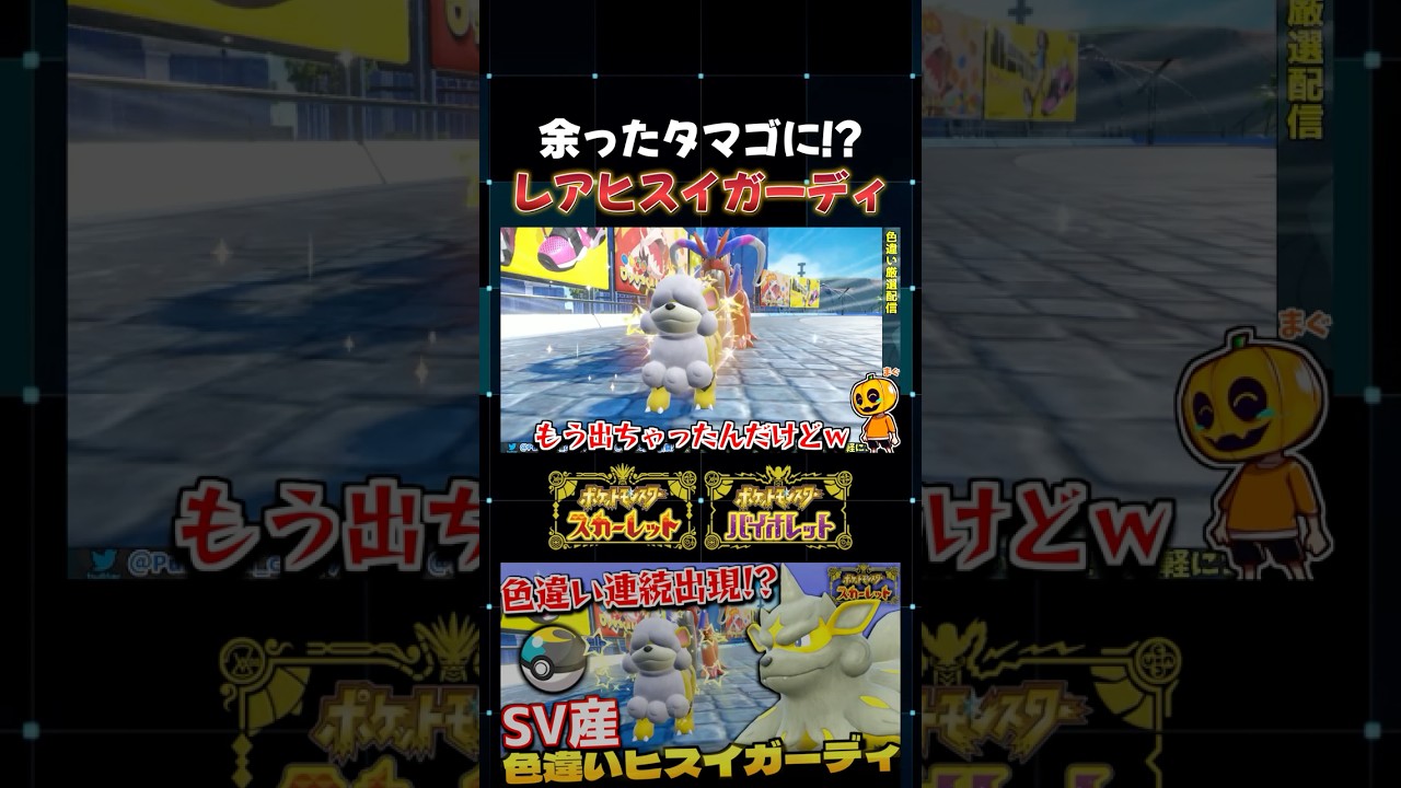 【ポケモンSV】色違いヒスイガーディ祭り!? 孵化厳選でヒスイガーディの色厳選をしてたら低確率の♀色違いが出ましたｗ【切り抜き】【色違いポケモン】【色違い厳選】#shorts