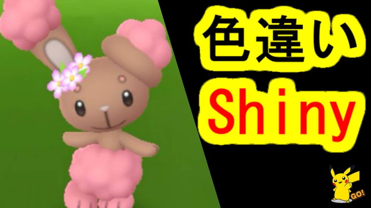 ミミロル花飾りの色違い(ポケモンGO、PokemonGO)