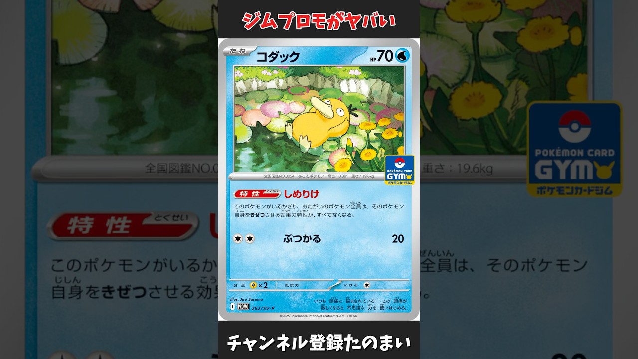 【誰が売ってるの？】新弾のジムプロモのスピード感がヤバい！#ポケカ#コダック#ジムプロモ#ジムバトルはやっ
