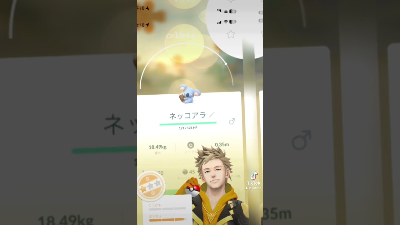 #ポケモン #ポケモンgo #ネッコアラ