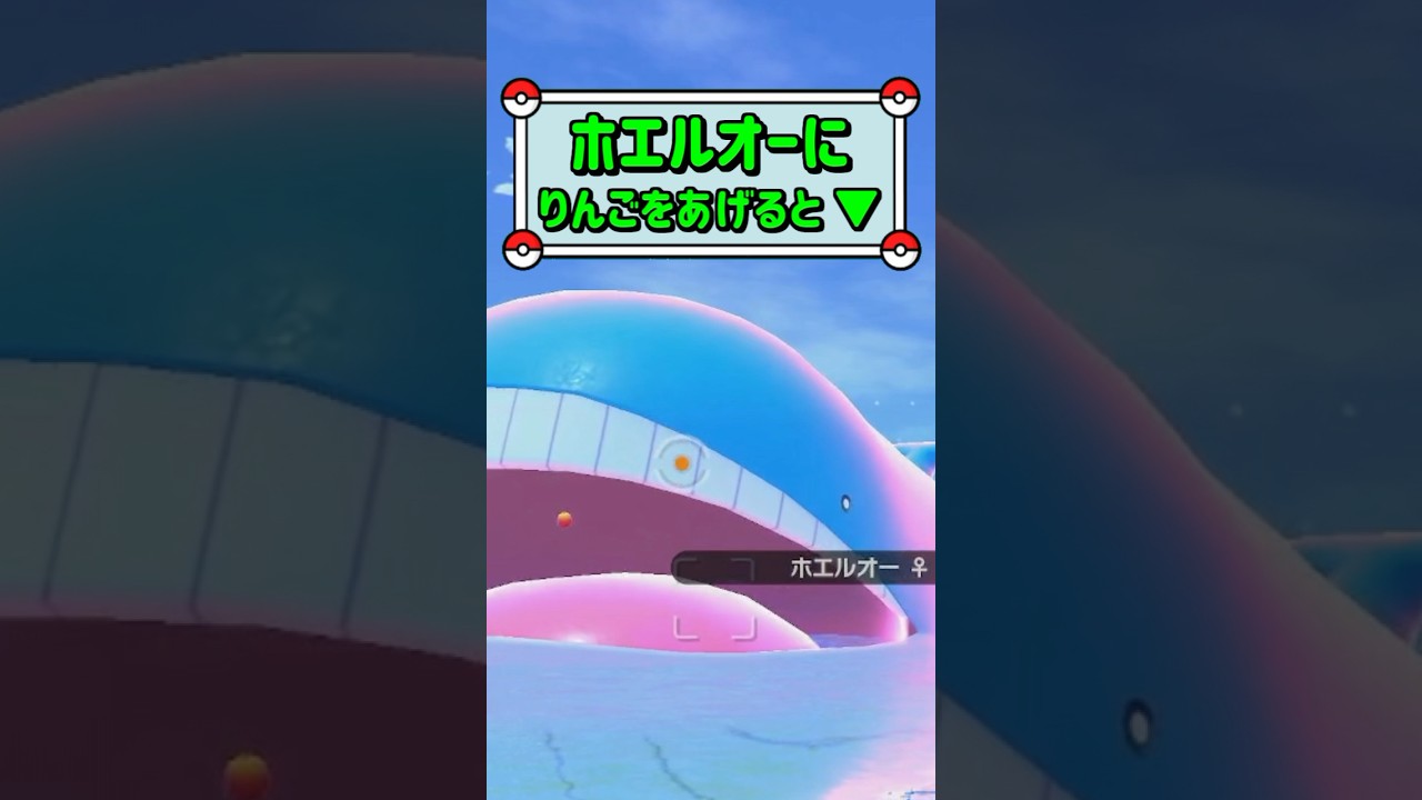 「ホエルオーにりんごをあげると ▼」　#ポケモン　#ポケモンスナップ　#ポケスナ　#shorts