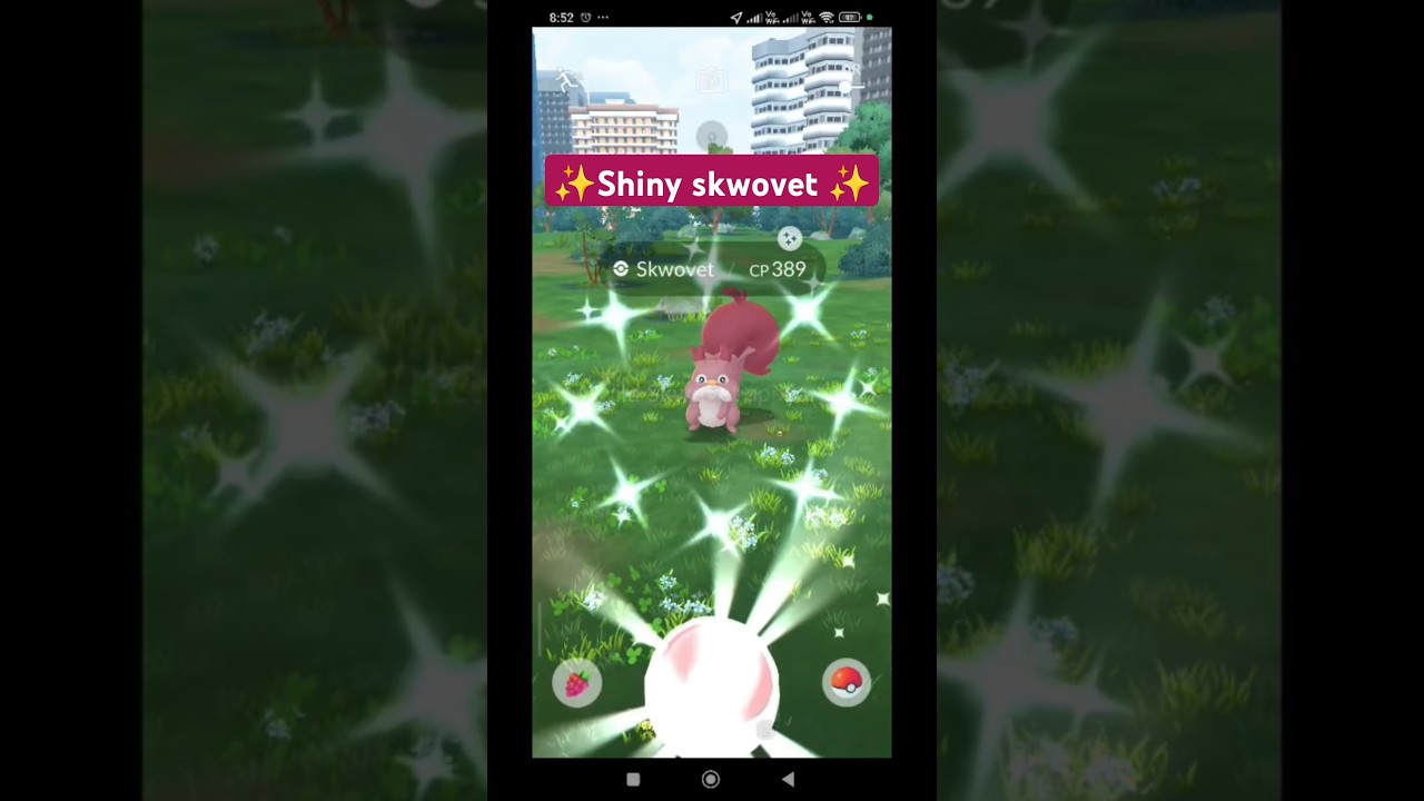 ✨ Shiny skwovet from sweet discoveries event #shiny #shinypokemon #pokemongo #pokémon #skwovet