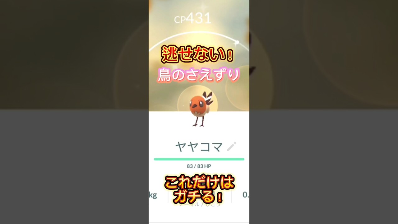 【ポケモンGO】最強！ヤヤコマ降臨！？　#ポケモンgo #ポケモン #pokemongo
