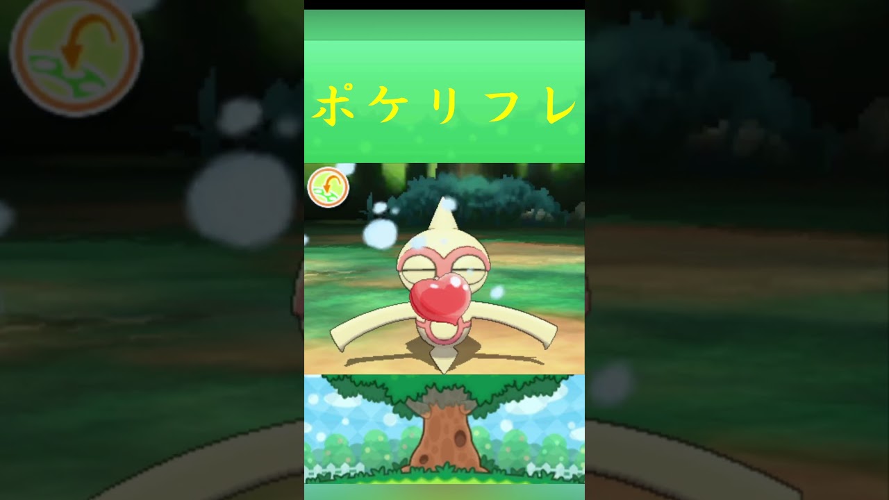 ポケモン ヤジロン ポケリフレ ポケパルレ #ポケモン #Pokemon  #3DS #ポケモン技 #ポケモンsv #ポケモン #ふれあい #キャンプ #カレー #サンドイッチ #ピクニック