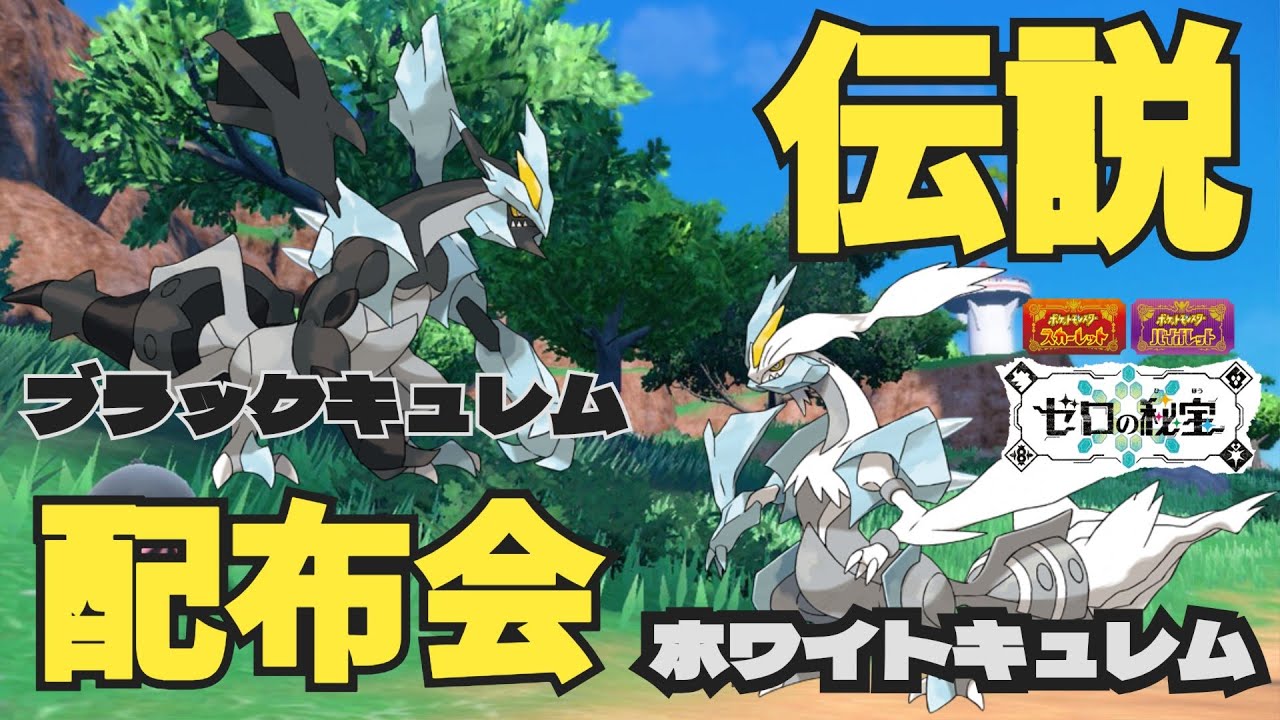 ９０００人到達！ホワイト・ブラックキュレム伝説ポケモン配布会 　　　　　　　　　　　　　　　　　　　　　　　　　　  　　　　　　　#ポケモンsv #ポケモン配布会