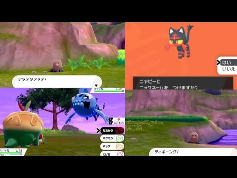 ポケットモンスター ソード·シールドをしました🌟鎧の孤島🌟ニャビーをもらいました💕ディグダを少し発見しました💕タルップル可愛い💕