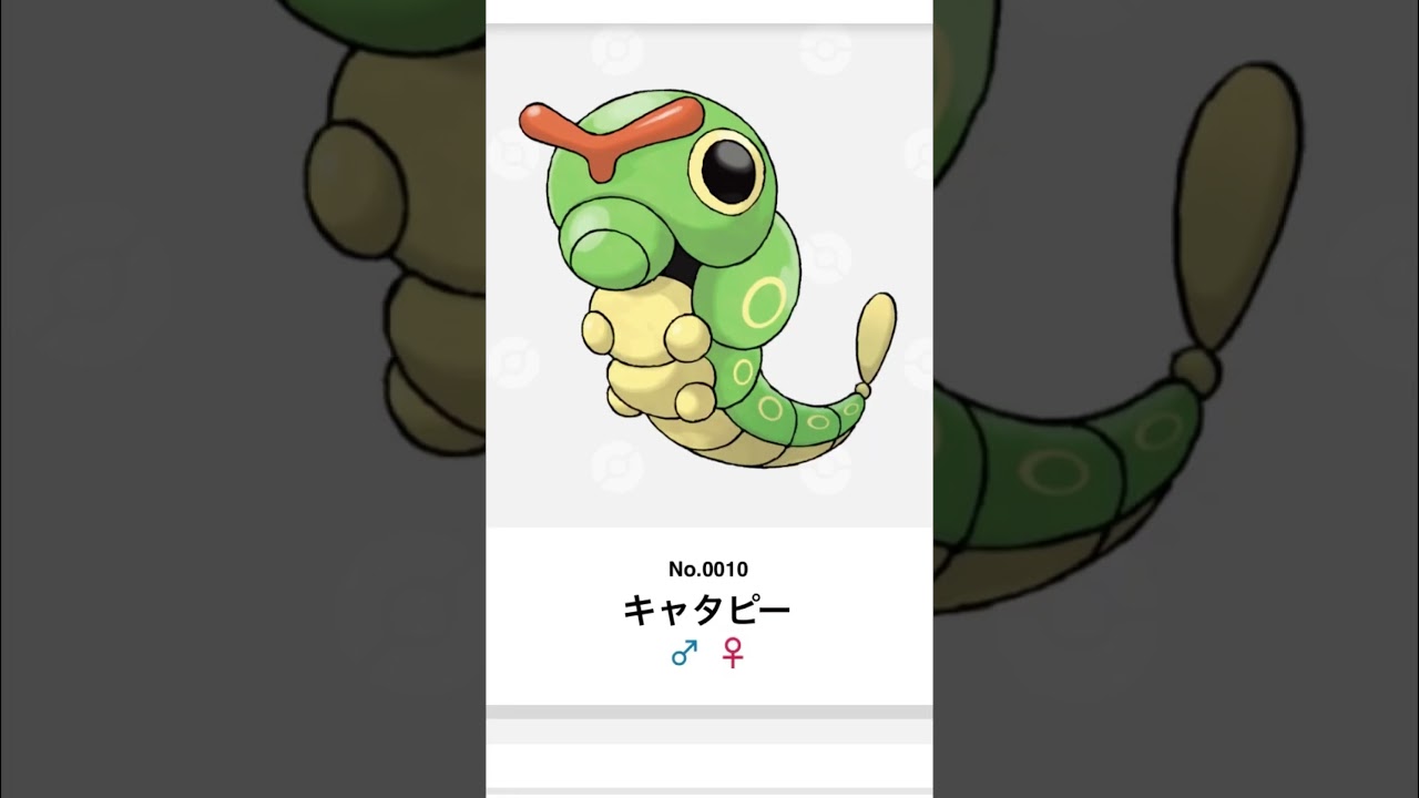 10日目.キャタピー鳴き真似