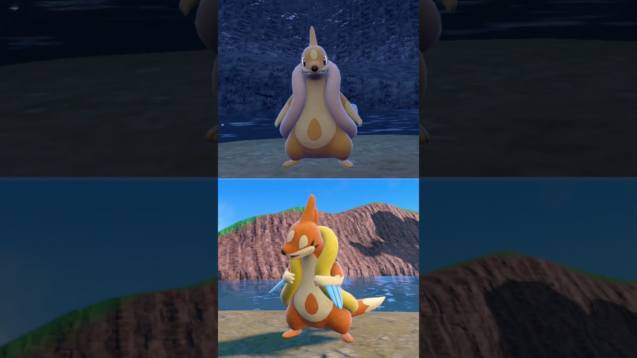 #フローゼル  #ポケモン  #floatzel  #pokemonscarletandviolet