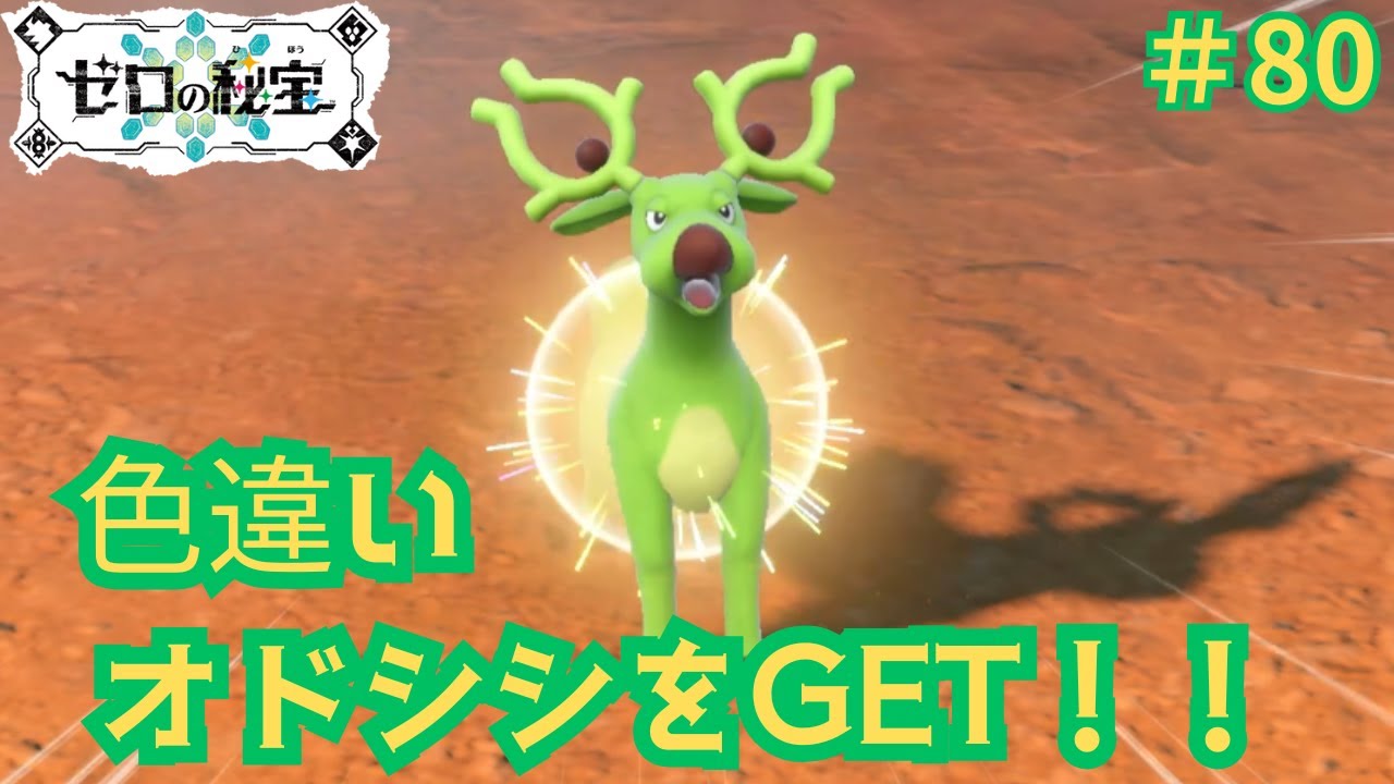 色違いオドシシが欲しい【ポケットモンスターバイオレット　ゼロの秘宝】＃81