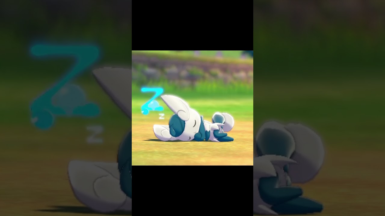 寝ているニャオニクス（メス）　#Shorts