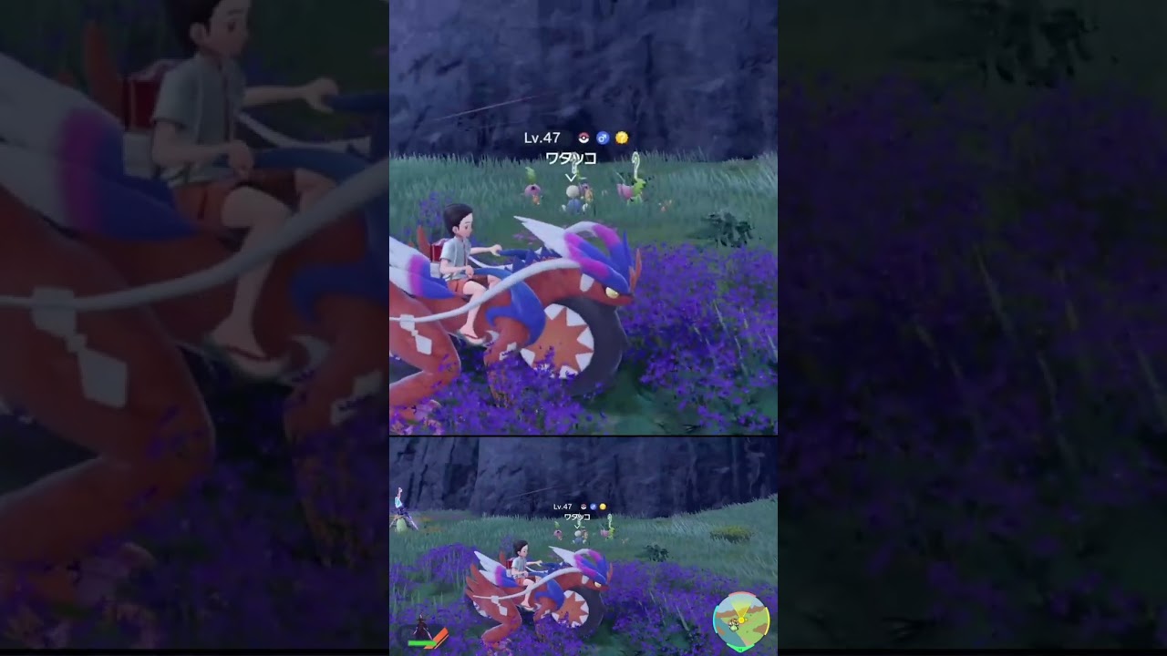 素材集め の邪魔をしないでくれ 色違い ハネッコ #shorts #ポケモンsv #碧の仮面 #碧の円盤