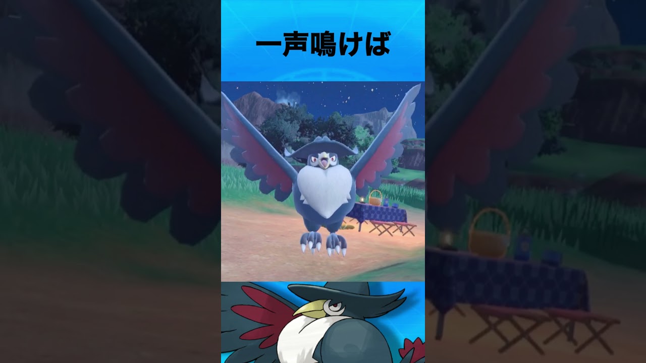 ドンカラスについて #ポケモン #ドンカラス