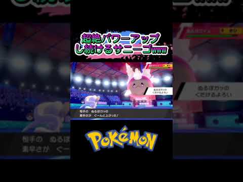 超絶パワーアップサニーゴwww #shorts