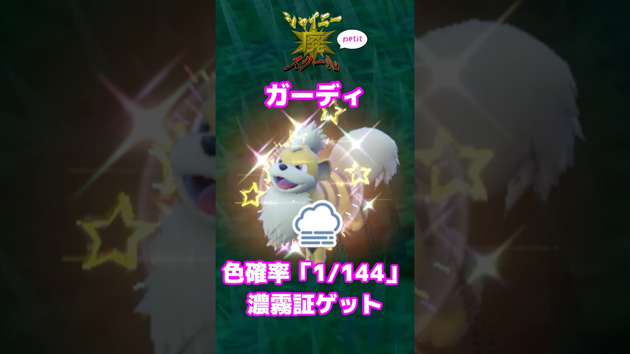 濃霧の #ガーディ 色違い確率「1/144」の高確率でゲット！ #shorts  #ポケモンsv #色違いポケモン