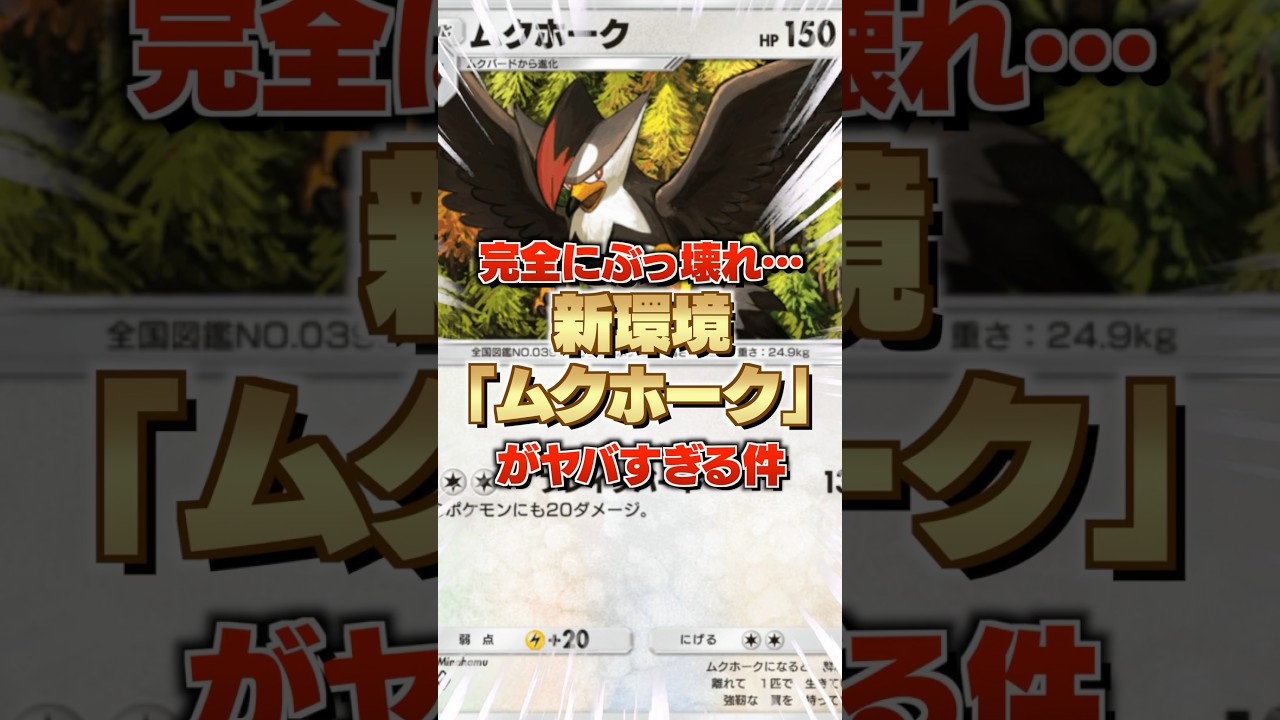 【神強化】※新弾でムクホークがぶっ壊れます。その理由を解説！ソルガレオex？ギャラドスex？遅い遅いｗ先攻も後攻も連続高火力、勝率安定か！？【ポケポケ新パック(双天の守護者攻略・最強デッキ考察】
