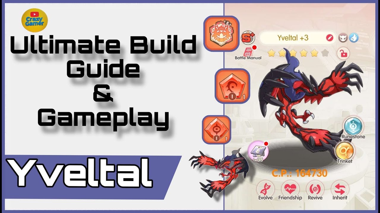 Yveltal Pokemon Build Guide and Gameplay | Pokemon Kingdom