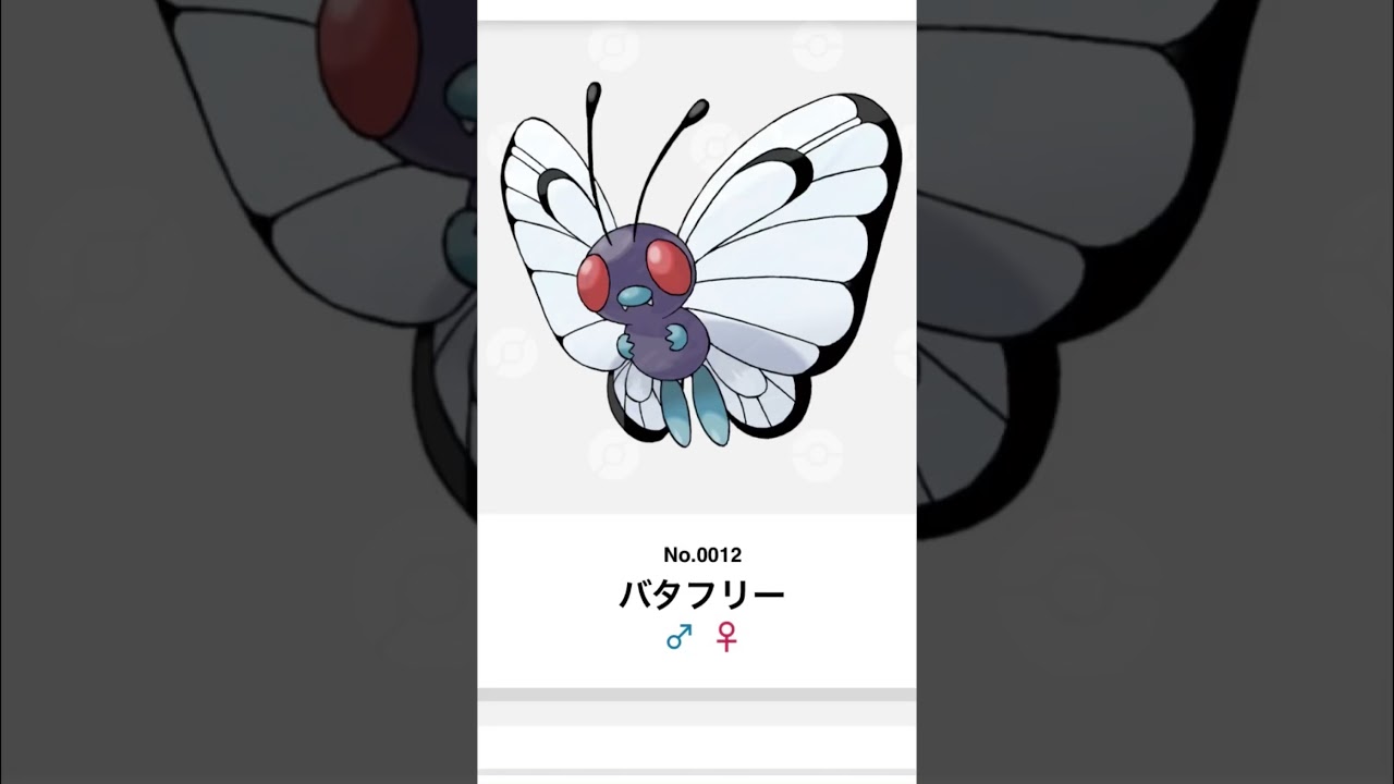 12日目.バタフリー鳴き真似