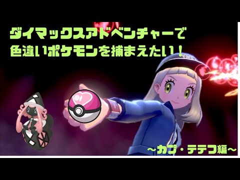 ダイマックスアドベンチャーで色違い厳選！！～カプ・テテフ編Part1～