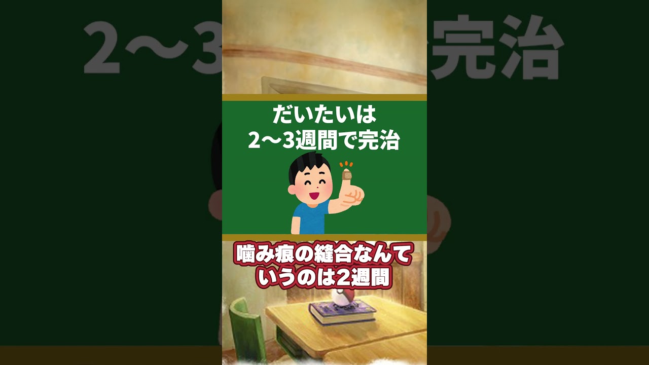 ワニノコ御三家な訳無さすぎた #shorts #ポケモン #ポケモン図鑑 #ポケモンza #御三家 #ポケモン考察