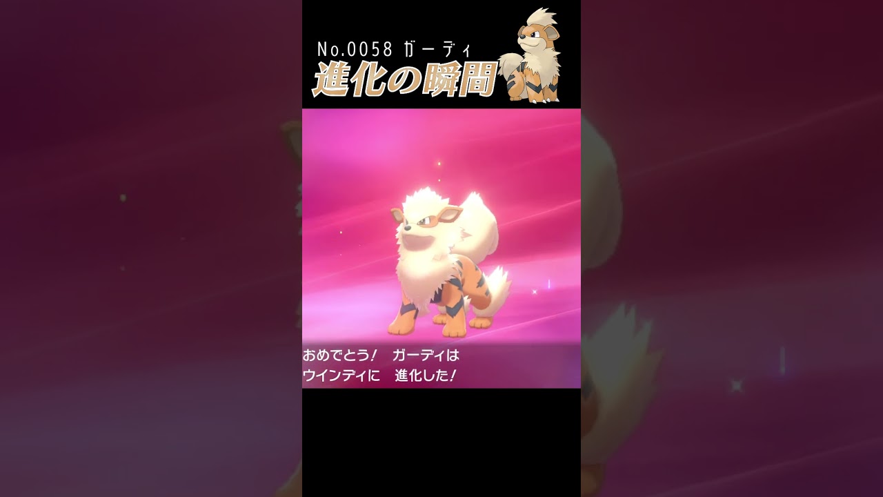【ポケモン剣盾】ガーディ 進化の瞬間 #shorts