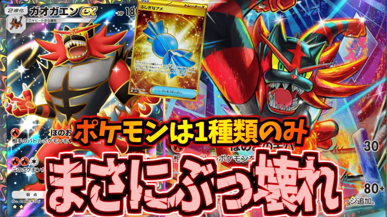 【ポケポケ】アメ追加で大暴れ!?ニャビー確定スタートで超安定進化するガオガエンexデッキ