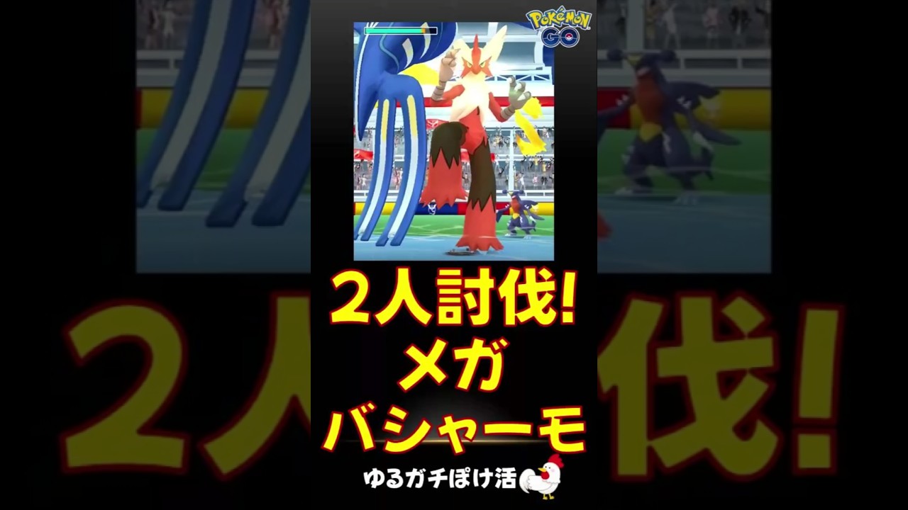 【メガバシャーモ！2人討伐s】#レイドバトル #ポケモンGo #レイドバトル #バシャーモ #ミュウツー #カイオーガ #記念