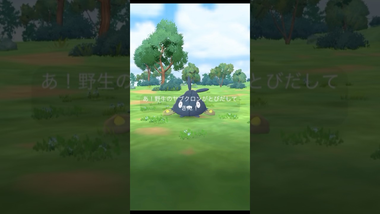 【 ポケモンgo 】 色違い ヤブクロン GET！→ マテオタスク「ルートで会おう！（2/4）」クリア！ジガルデキューブも見っけ！【 うさぴよの巣 】#pokemongo