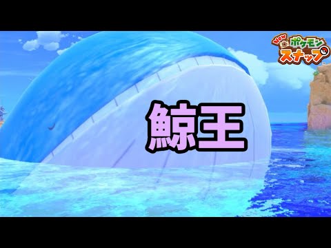 驚愕のスケール！ホエルオーがデカすぎる!!【Newポケモンスナップ】♯7