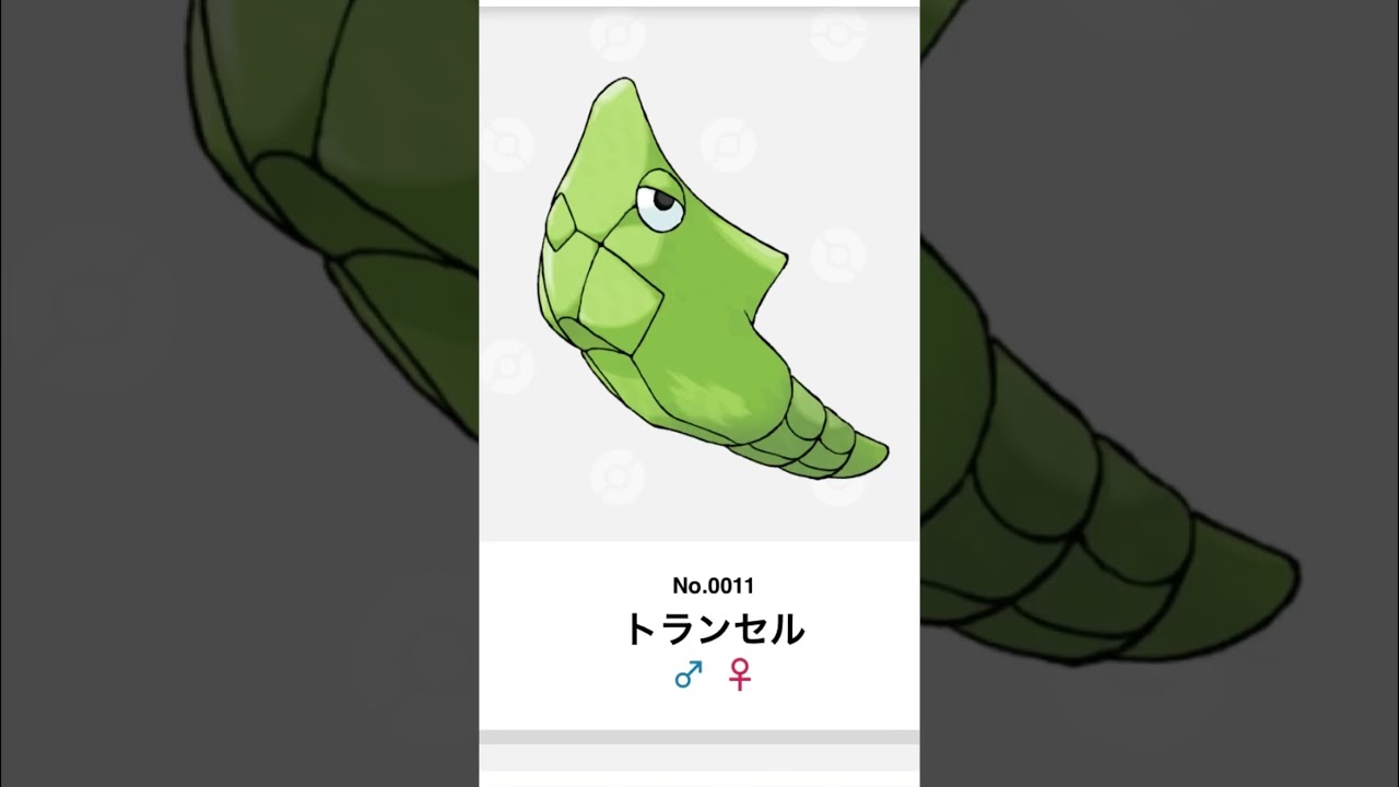 11日目.トランセル鳴き真似