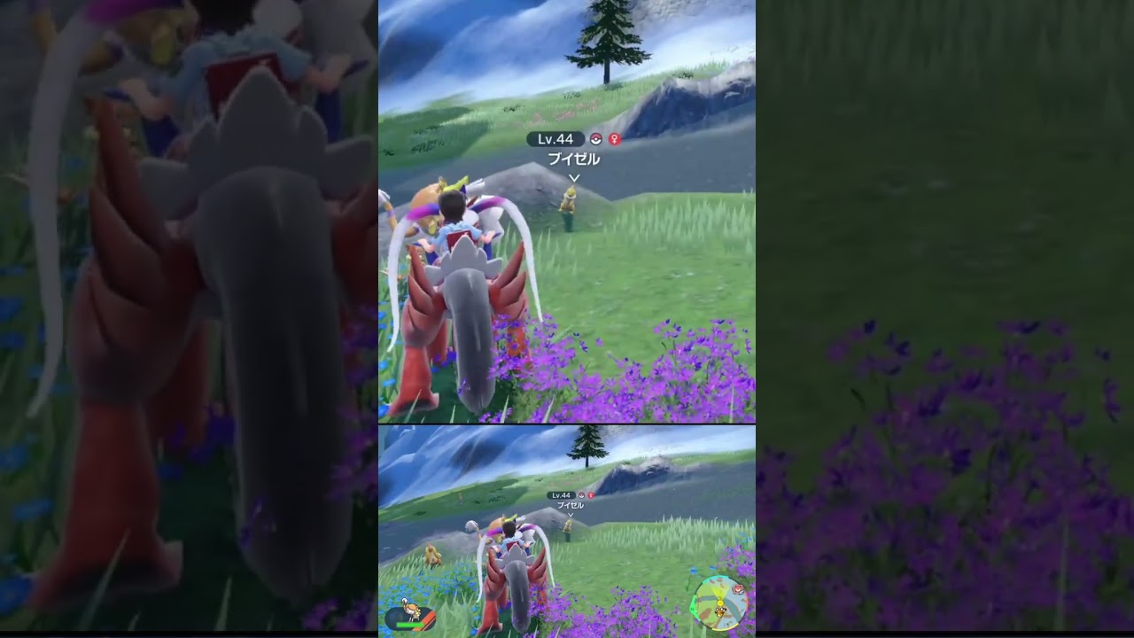 素材集め の邪魔をしないでくれ 色違い ブイゼル #shorts #ポケモンsv #碧の仮面 #碧の円盤