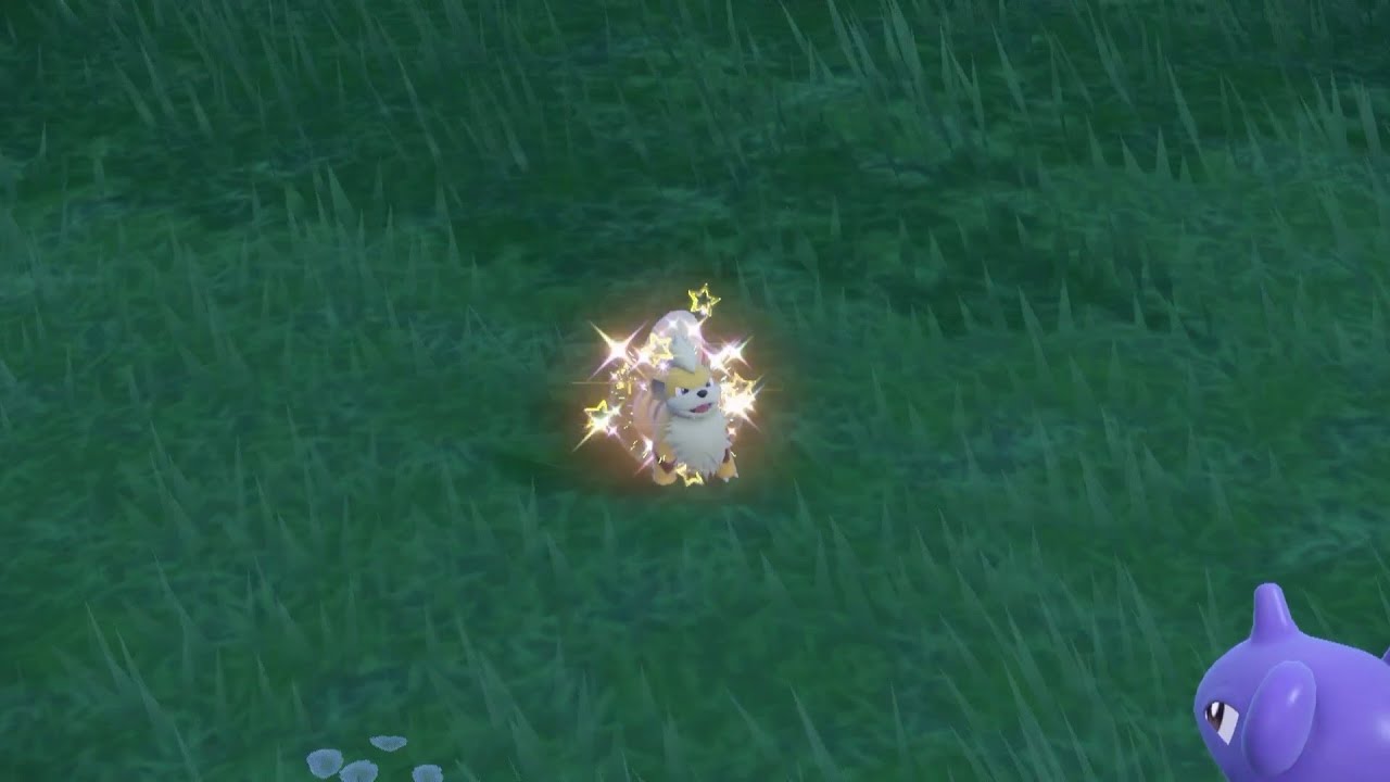 ガーディとチルットの色違いを捕まえるを動画